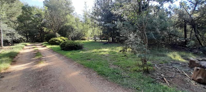 0 Bedroom Property for Sale in Hogsback Eastern Cape
